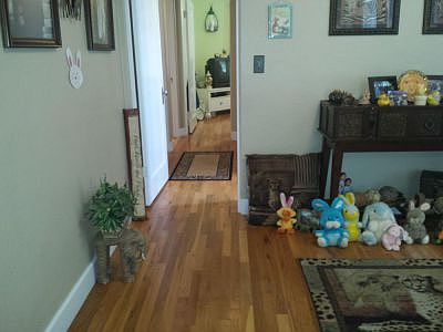 Gorgeous Hardwood Floors