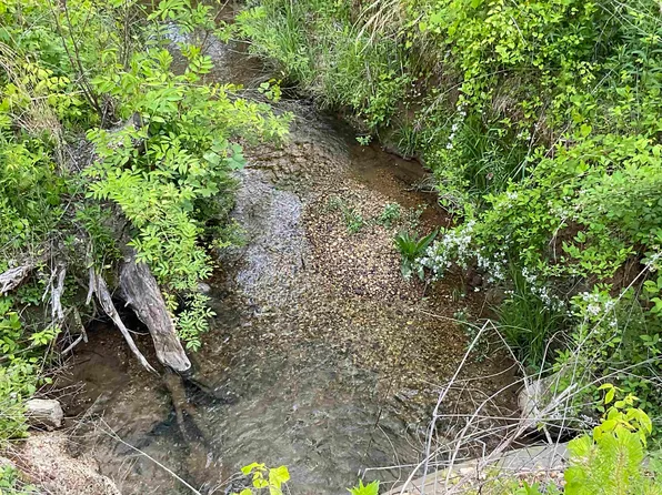 0 Cave Hollow Rd, Russellville, AL 35653