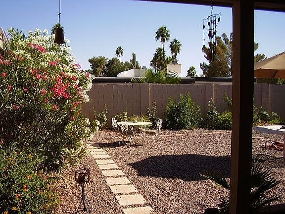 looking south in backyard