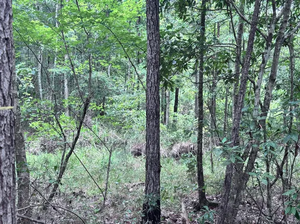 0 Lars Rd, Lumberton, MS 39455
