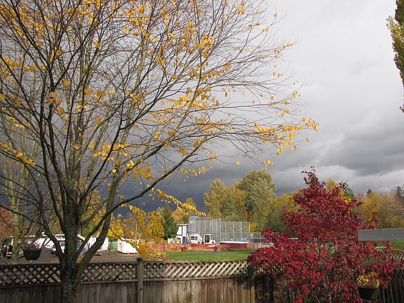 Park View