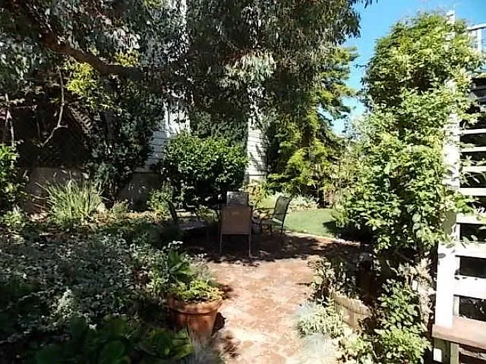 Shared rear yard
