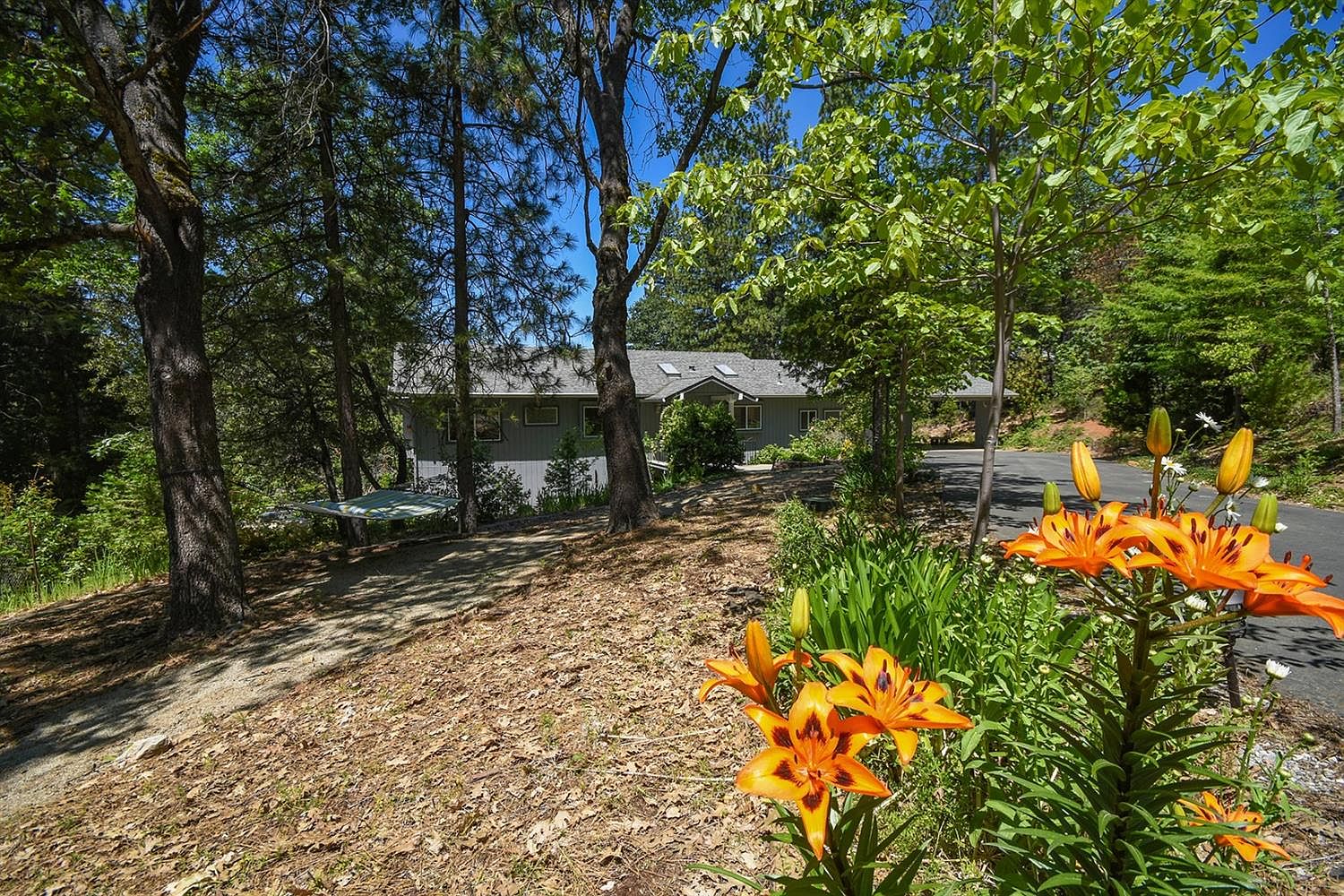 6381 Log Cabin Ln, Placerville, CA 95667 Zillow