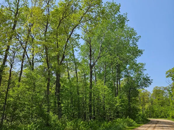 LOT Fireweed Ct #C, Crosslake, MN 56442