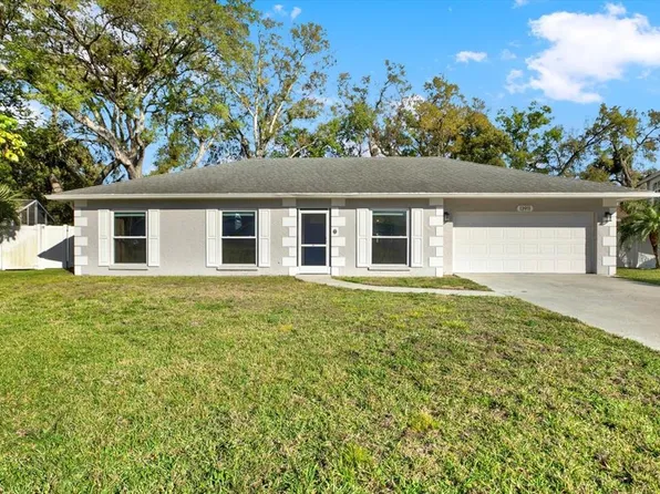 13911 BRIARDALE LANE, TAMPA, FL 33618