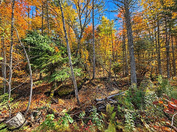 2nd image of 00 Mountain Road