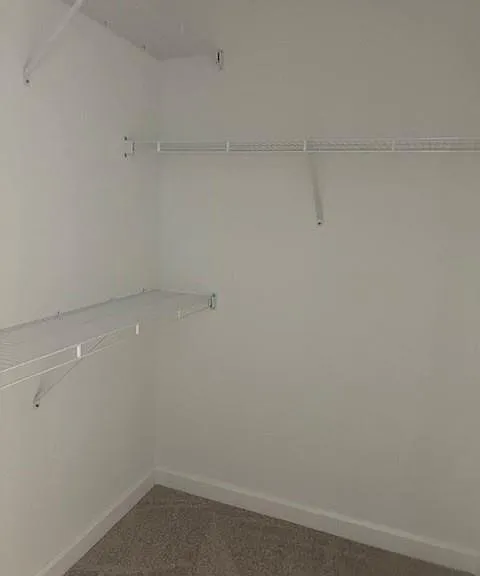 4393 Hammock Grove Dr #4393 — Photo 4