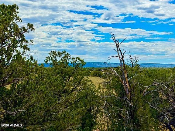 5th image of 0 Dusty Rose Ranch Lot C 12 Acre -- #-