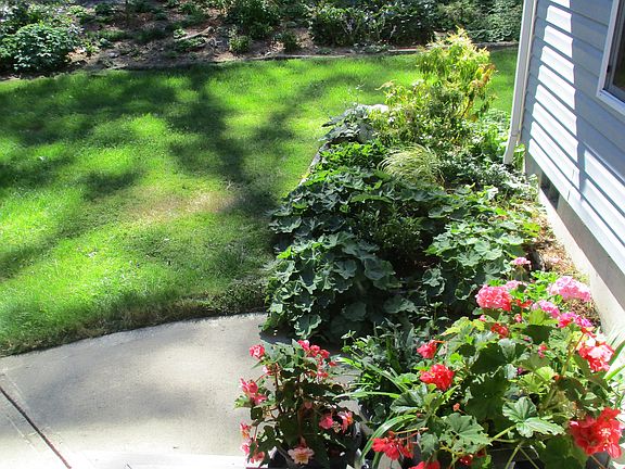 2nd image of 14023 188th Ave NW