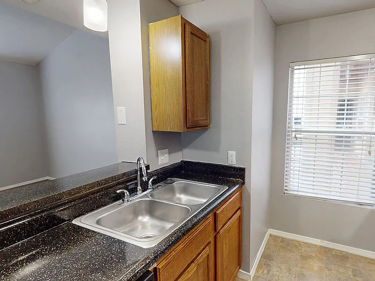 Double-Basin Kitchen Sinks