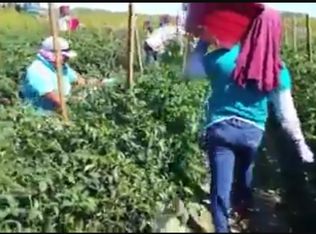 2029 W Memorial Hwy, Union Grove, NC 28689