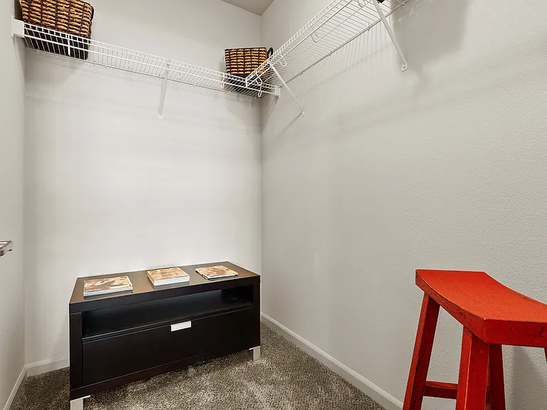 Walk-in closet in bedroom