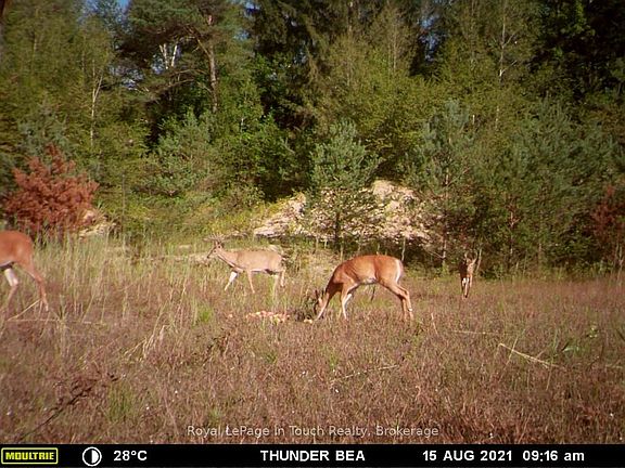 5th image of 594 County Road 6 Rd N