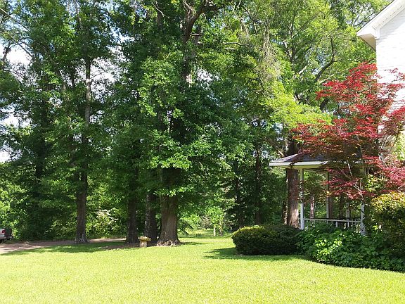 4th image of 10082 County Road 137