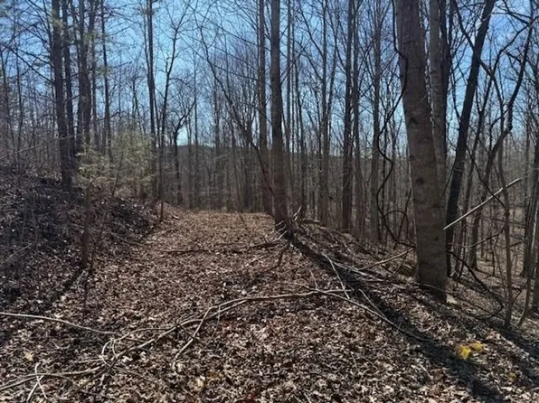TRACT 3 S Pittsburg Mountain Rd, South Pittsburg, TN 37380
