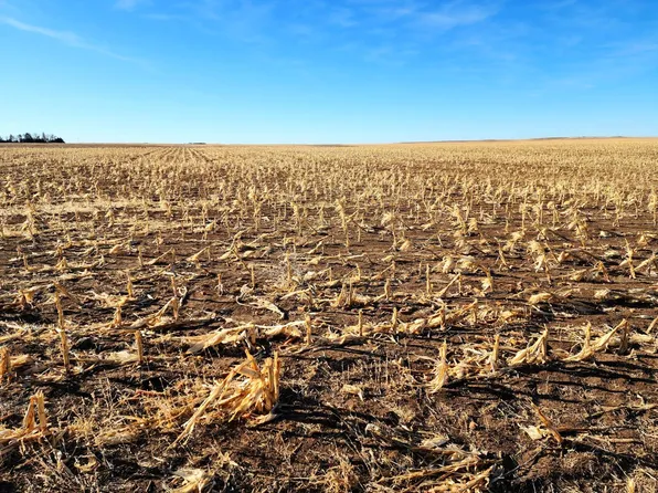 Road 33w, Bushnell, NE 69128