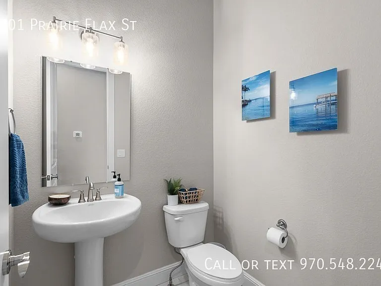 2701 Prairie Flax St — Photo 23