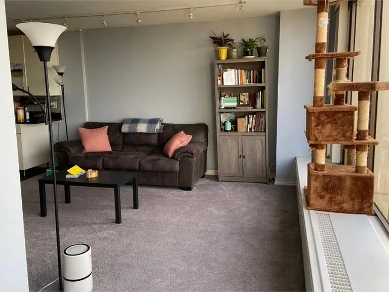 5455 N Sheridan Rd #809 — Photo 9