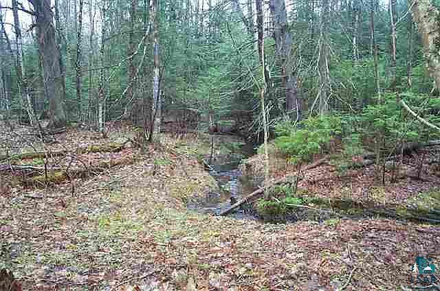 2nd image of Lot 1 Mineral Lake Rd