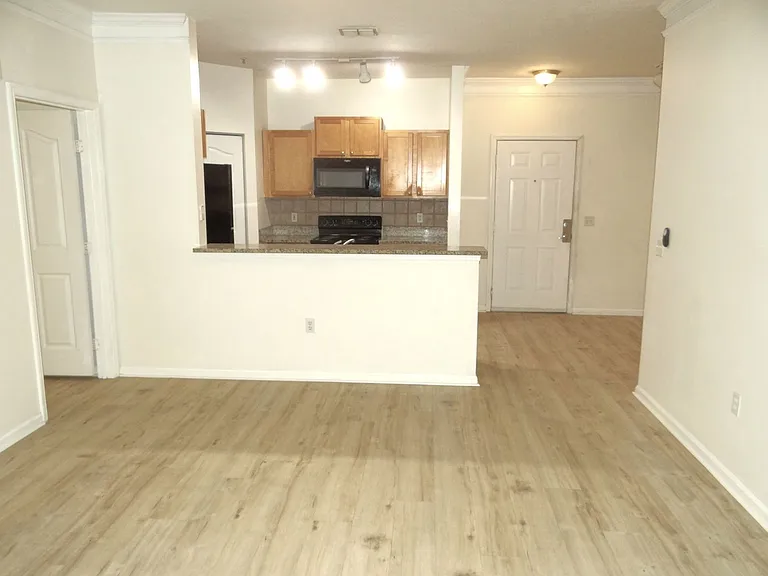 4207 S Dale Mabry Hwy #5103 — Photo 7