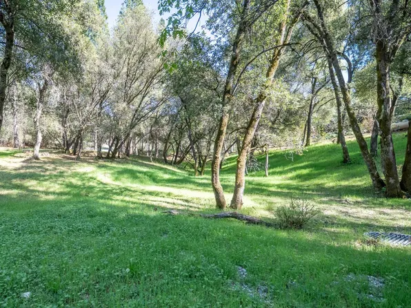 1621 Coyote Dr, Murphys, CA 95247