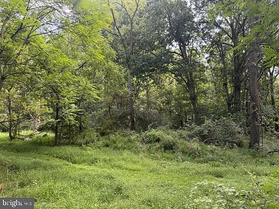 5th image of 1294 Mount Wilson Rd