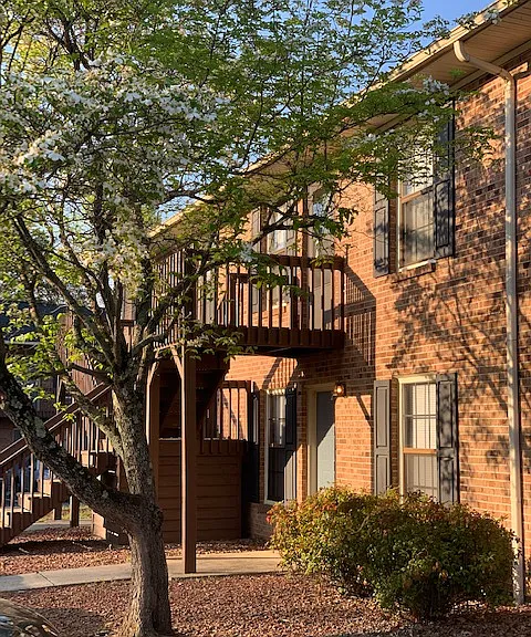 Linville Ridge Apartments — Photo 10