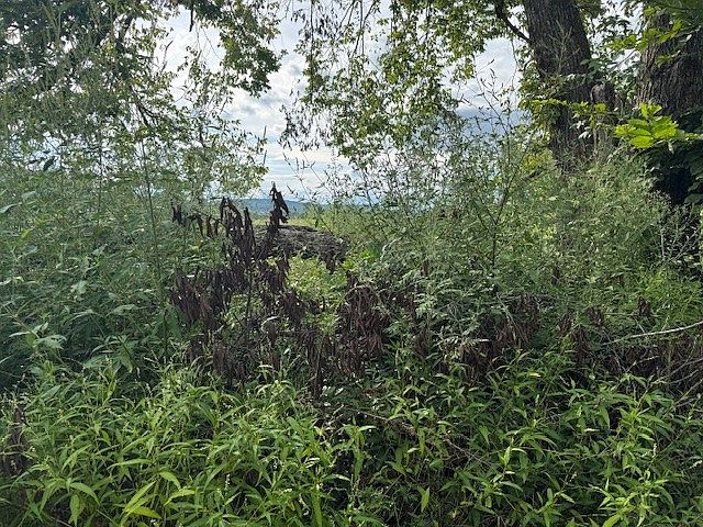 2nd image of 608 W Holt Rd