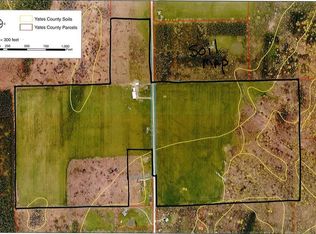 5364 Andrews Hill Rd, Dundee, NY 14837