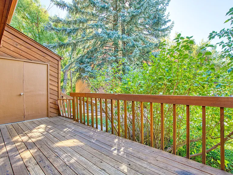 Back Patio