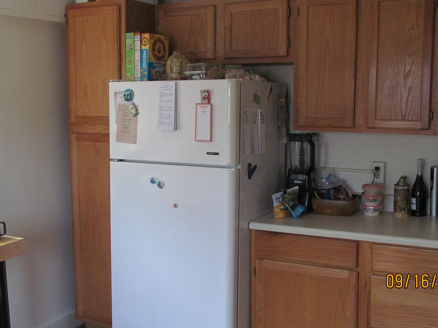 1 bed, 1300 sqft, $1,375 — Photo 4