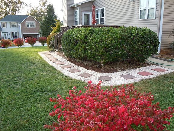 Mature plantings