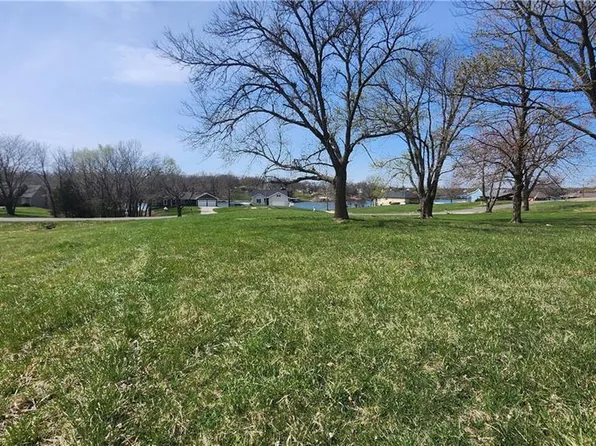 1014 Lake Viking Ter, Altamont, MO 64620