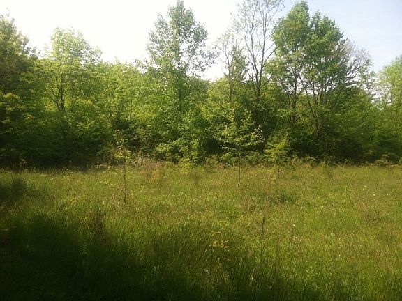 2nd image of 4484 Quick Rd