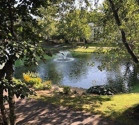 Beautiful Landscaping