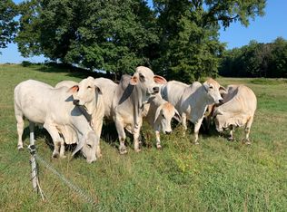 Tiara Farm Dr, Graham, NC 27253