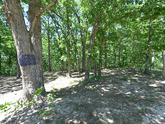4th image of 1331 Partridge Dr