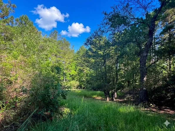 Off Of White Oak River Rd, Maysville, NC 28555