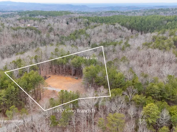 557 Long Branch Trl, Ranger, GA 30734