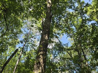 397 W Oakvale Rd, Mount Olive, MS 39119