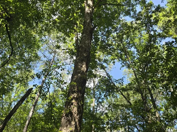 397 W Oakvale Rd, Mount Olive, MS 39119