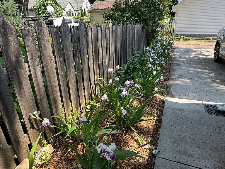 side path from front to back of house on north side