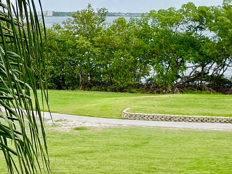 2617 Cove Cay Dr #1-311 — Photo 39