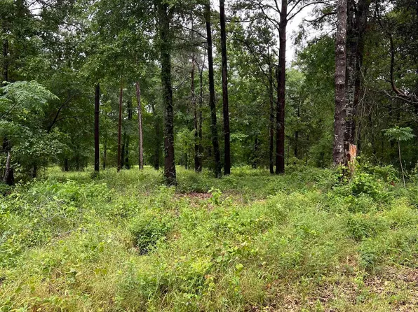 4883 County Road 1405, Jacksonville, TX 75766