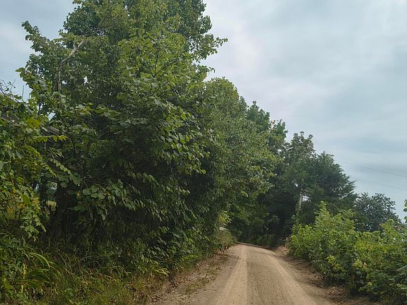 2nd image of 1830 Sweet Corn Drive