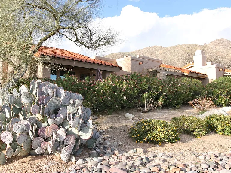 7601 N Calle Sin Envidia #37 — Photo 23