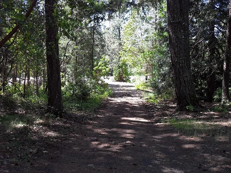41127 Highway 62 photo 1