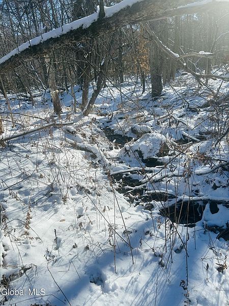 5th image of 8976 Graphite Mountain Road