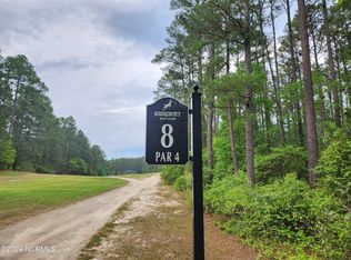 40 Loblolly Ct, Wagram, NC 28396