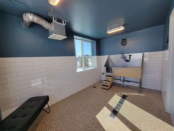 Dog wash station